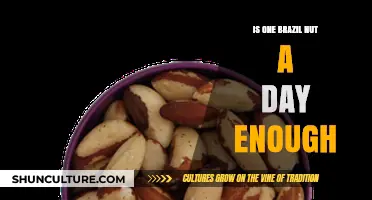 Is One Brazil Nut Daily Sufficient for Optimal Selenium Intake?