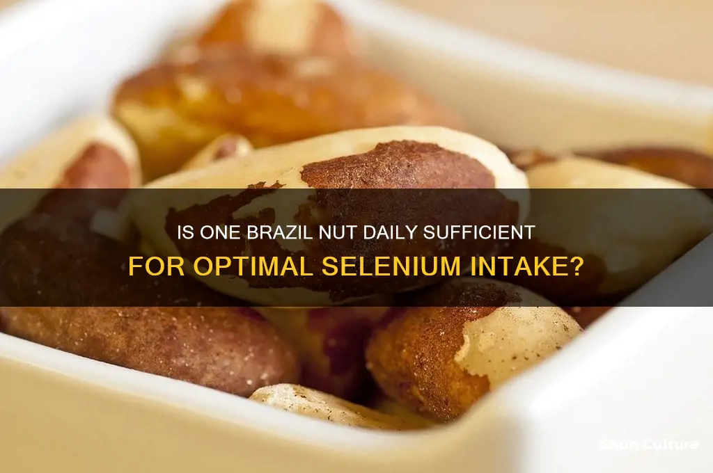 is one brazil nut a day enough
