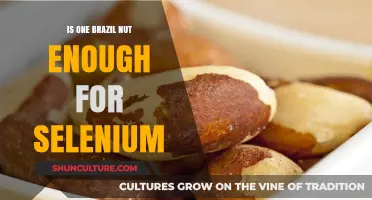 Is One Brazil Nut Sufficient for Your Daily Selenium Needs?