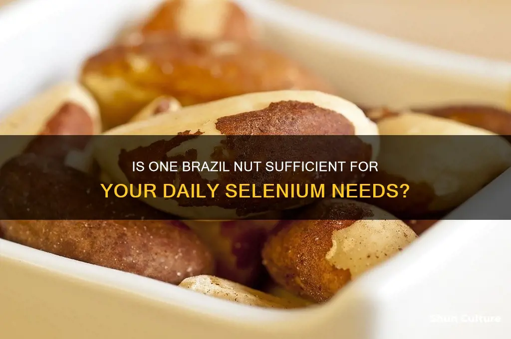 is one brazil nut enough for selenium