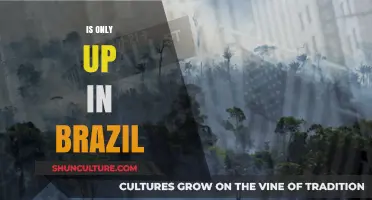 Is It Only Up in Brazil? Exploring the Phenomenon and Its Impact