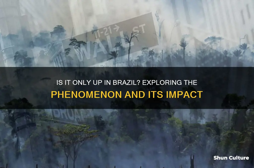 is only up in brazil