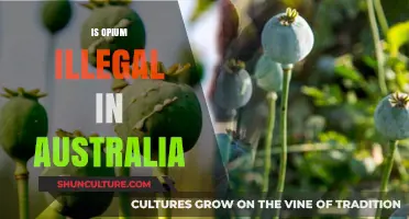 Opium in Australia: What's the Legal Status?