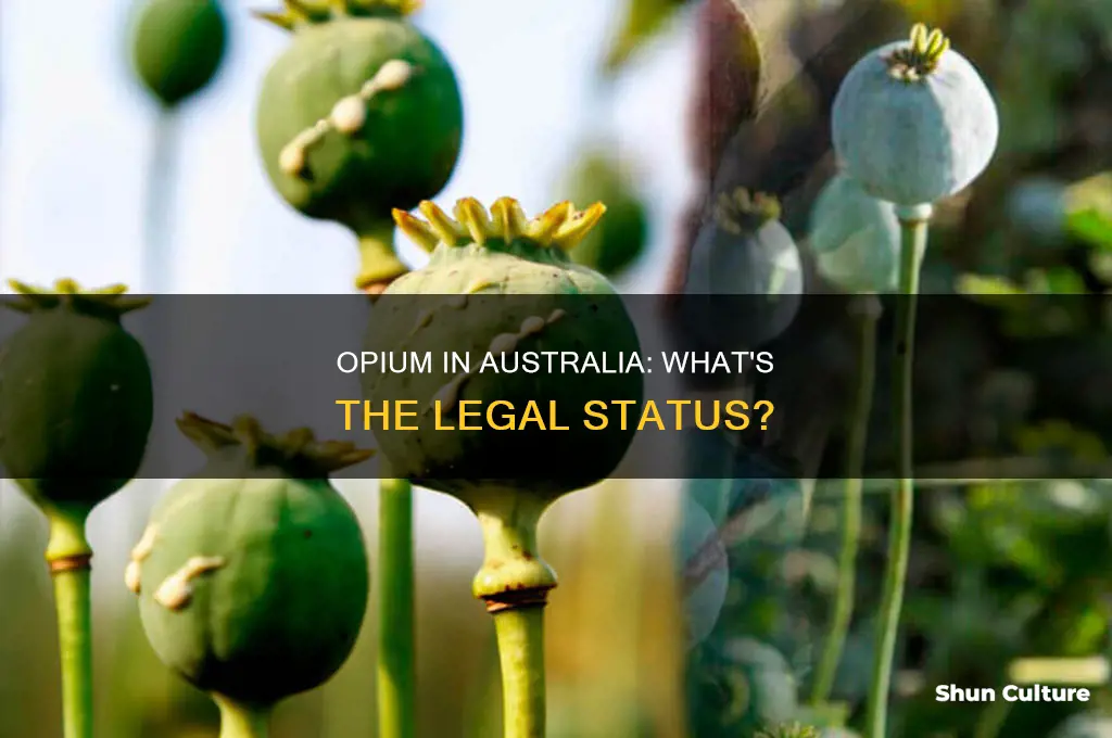 is opium illegal in australia