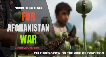 The Poppy Paradox: Unraveling the Truth Behind the Afghanistan War