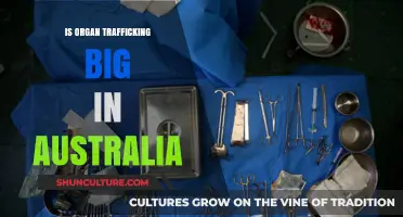 Organ Trafficking in Australia: How Big is the Problem?