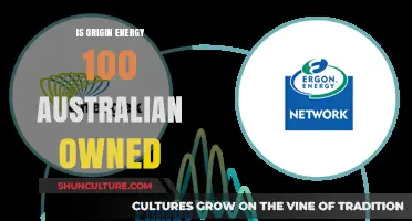Who Owns Origin Energy? Exploring Australian Ownership