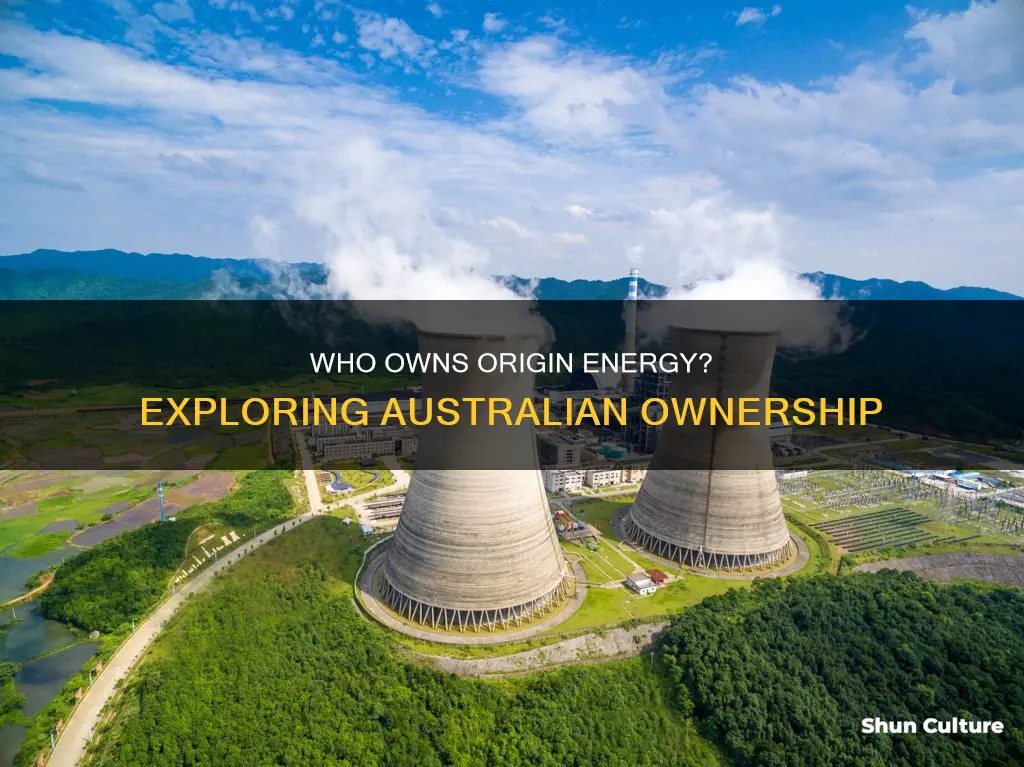 is origin energy 100 australian owned