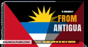 Exploring My Roots: Discovering My Heritage, Originally from Antigua