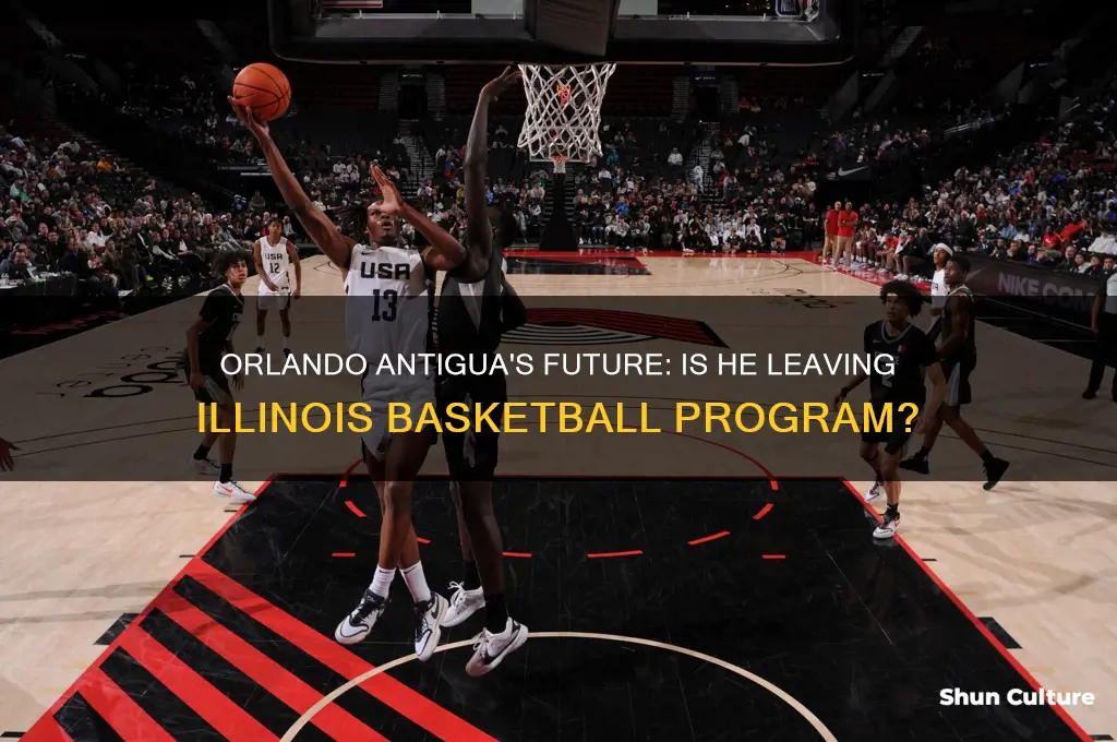 is orlando antigua leaving illinois