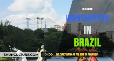 Oshun Worship in Brazil: Exploring Afro-Brazilian Religious Traditions