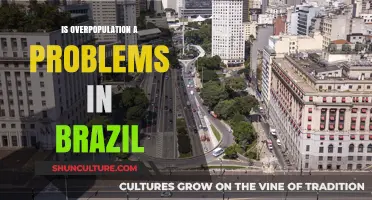 Brazil's Population Boom: A Growing Concern or Manageable Challenge?