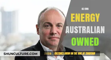 OVO Energy: Australian-Owned? Exploring the Truth Behind the Company's Ownership