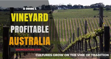 Vineyard Profits: Australia's Lucrative Wine Industry