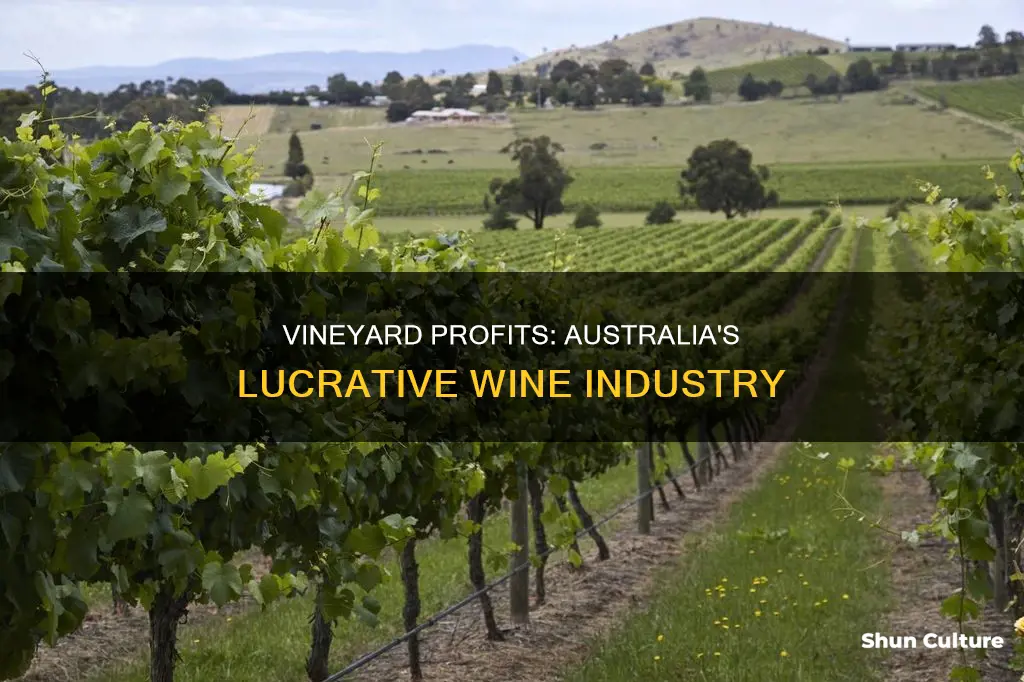 is owning a vineyard profitable australia
