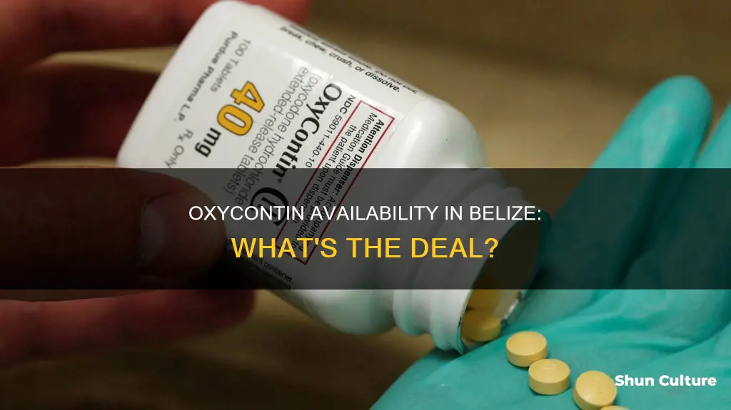 is oxycontin available in belize