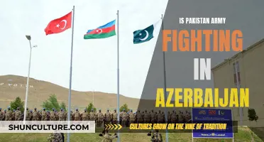 Pakistan Army's Involvement in Azerbaijan's Military Efforts