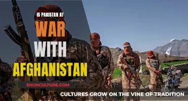 The Afghanistan-Pakistan Borderlands: A War Within a War