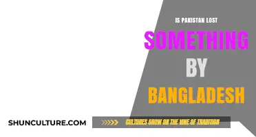 Pakistan's Loss: Reflecting on Bangladesh's Separation and Its Impact