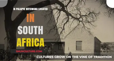 Is Palapye, Botswana in South Africa? Unraveling the Geographic Confusion
