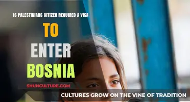 Do Palestinians Need a Visa to Enter Bosnia?