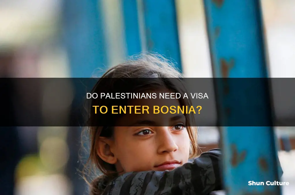 is palestinians citizen required a visa to enter bosnia