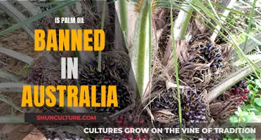 Palm Oil: Australia's Ban and its Impact