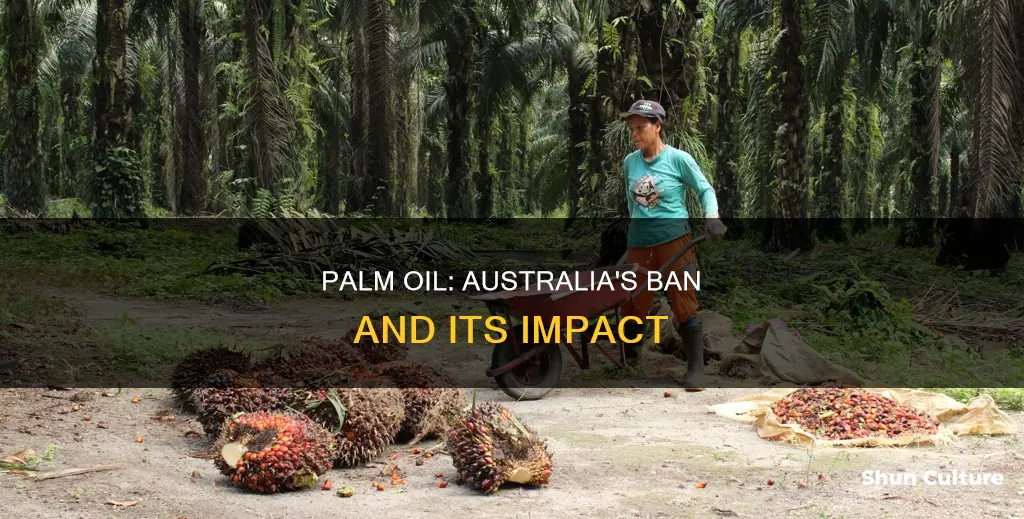 is palm oil banned in australia