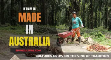 Australian Palm Oil: Sustainable or Not?