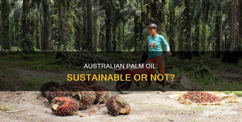is palm oil made in australia
