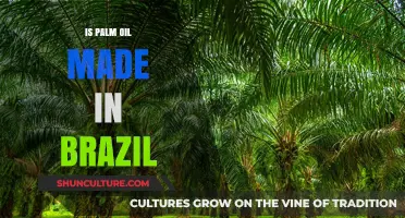 Is Palm Oil Produced in Brazil? Uncovering the Truth Behind the Industry