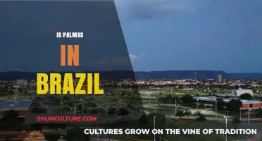 Exploring Palmas: Unveiling Brazil's Hidden Gem in Tocantins State