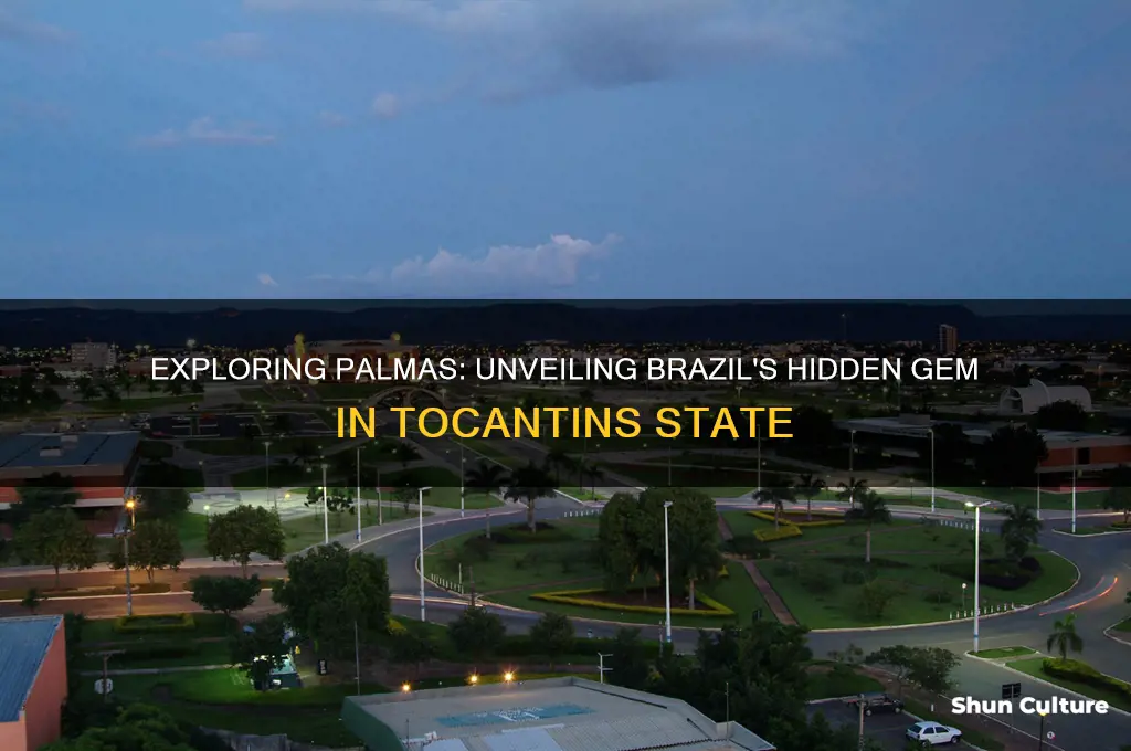 is palmas in brazil