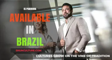 Pandora in Brazil: Availability, Access, and Streaming Options Explained