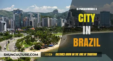 Exploring Paragominas: Unveiling Brazil's City Status and Unique Features
