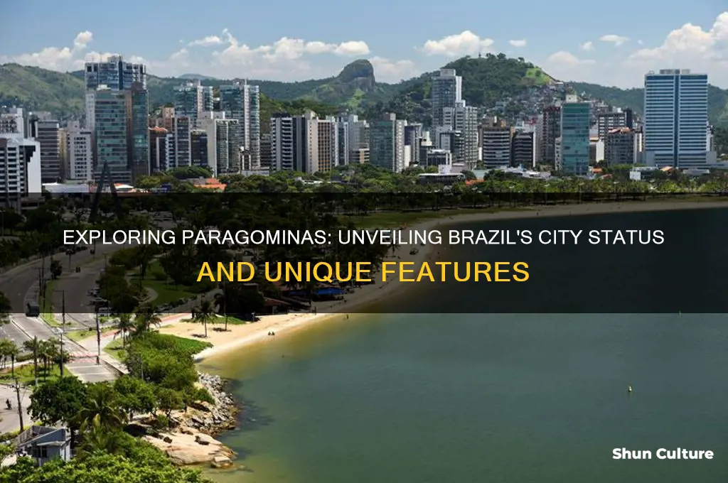 is paragominas a city in brazil