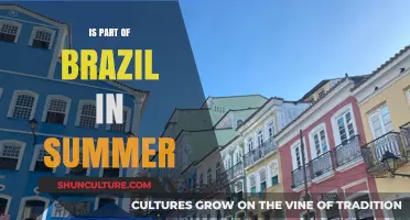 Brazil's Summer Splendor: Exploring the Country's Seasonal Divide