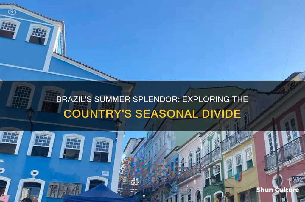 is part of brazil in summer