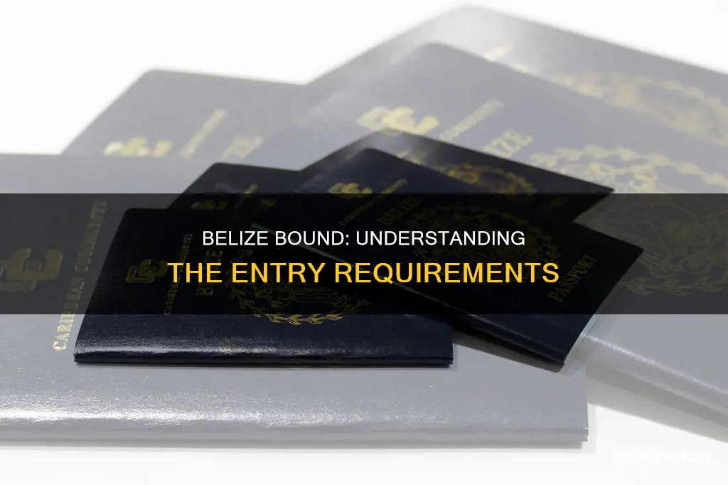 is passport needed for belize