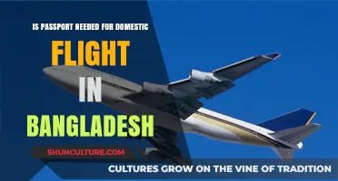 Do You Need a Passport for Domestic Flights in Bangladesh?