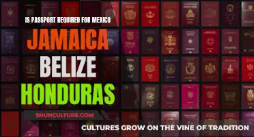 Travel Documents: Passport Requirements for Mexico, Jamaica, Belize, and Honduras