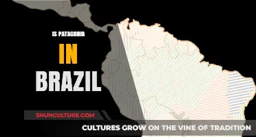 Is Patagonia in Brazil? Unraveling the Geographic Mystery