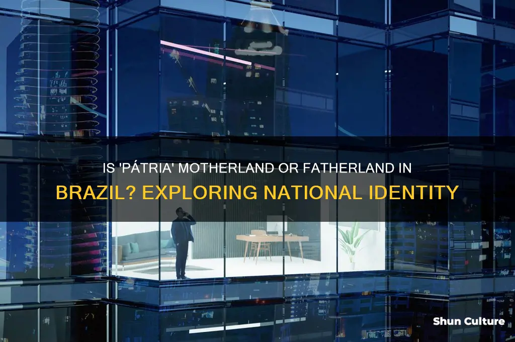 is patria motherland or fatherland brazil