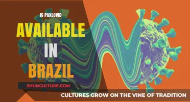 Is Paxlovid Available in Brazil? Access and Distribution Updates
