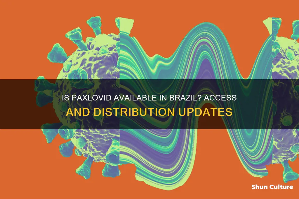 is paxlovid available in brazil