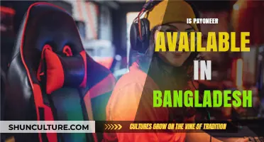 Is Payoneer Available in Bangladesh? A Comprehensive Guide