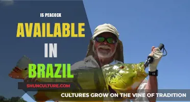 Is Peacock Streaming Service Available in Brazil? A Comprehensive Guide