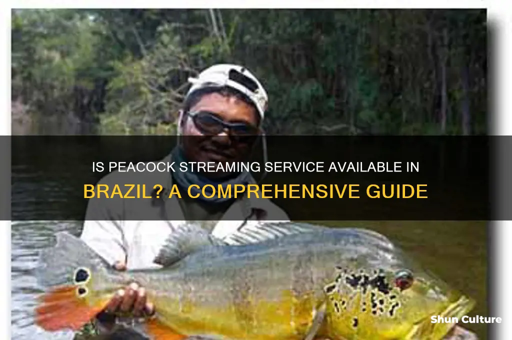 is peacock available in brazil