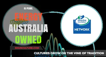 Who Owns Pearl Energy Australia?