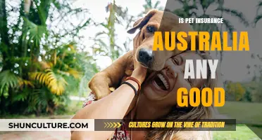 Pet Insurance Australia: Is It Worth the Cost?